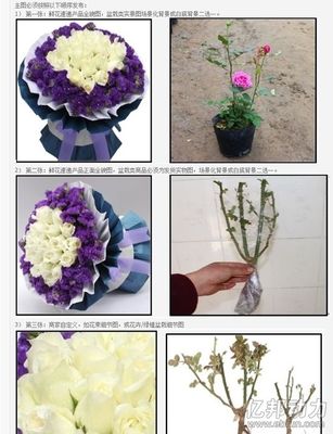 天貓新增六類產品規(guī)范 主抓發(fā)布和質量