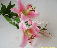 供應(yīng)絹花批發(fā) 絹花 絹花批發(fā)市場(chǎng) 陜西夢(mèng)幻花藝批發(fā)加盟中心 仿真花 婚慶用品 十字繡