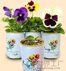 批發(fā)易拉罐花卉價(jià)格_批發(fā)易拉罐花卉廠家_世界工廠網(wǎng)產(chǎn)品信息庫
