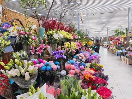 高質(zhì)量發(fā)展調(diào)研行丨北京首個(gè)花卉拍賣中心 與昆明同價(jià) 搶 鮮花